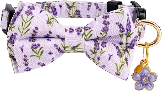 2 Pack Breakaway Cat Collar - Image 3
