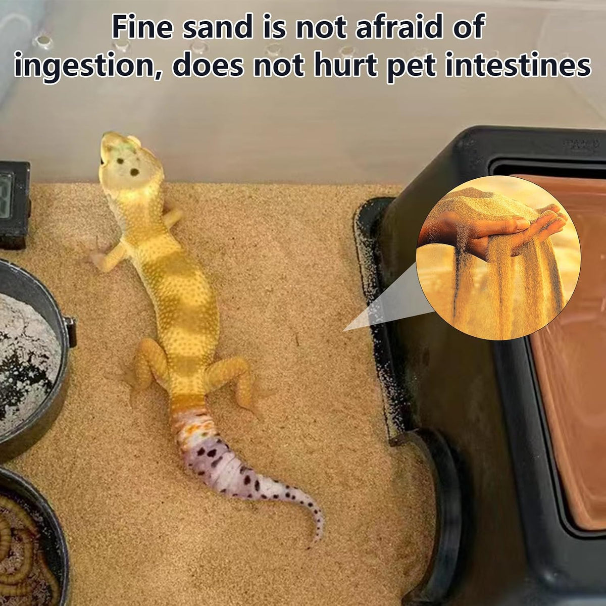 BNOSDM Reptile Sand,2.2lb Bearded Dragons Sands Substrate Bedding,Lizard Yellow Desert Blend Sands for Snakes Geckos Tortoises Turtle Tarantula