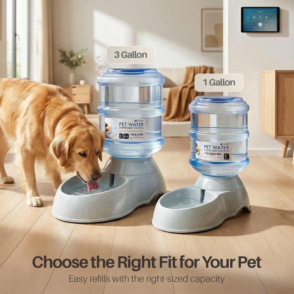 Flexzion Automatic Dog Water Bowl Dispenser for Cat Pet (1 Gallon Dispener Water Jug) - Gravity Feeder Auto Replenish Waterer Drinking Bowl Fountain Bottle Dish Stand