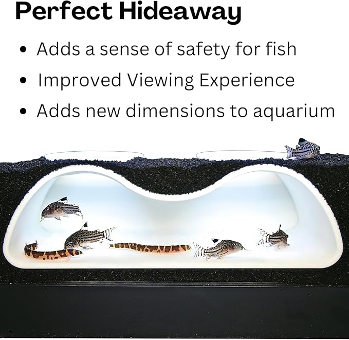 Aquarium Underground Tunnel Cave Natural Curve Two Hole | Viewing Fish & Shrimp - Image 4