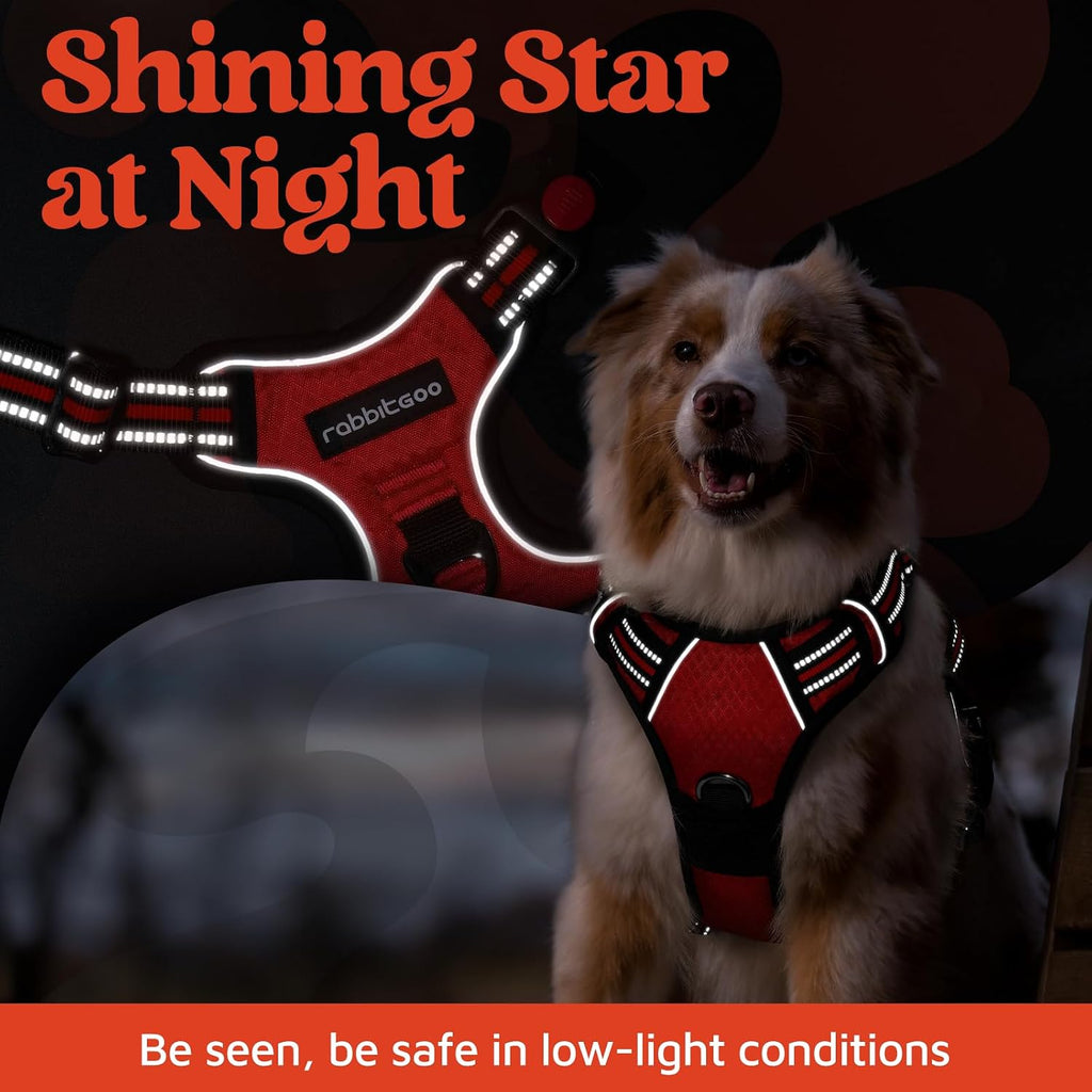 rabbitgoo Dog Harness for Large, No Pull 3 Buckles Easy On & Off