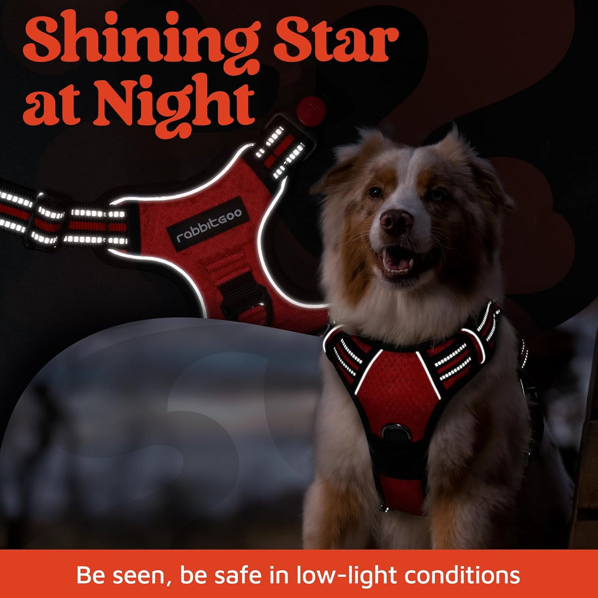 rabbitgoo Dog Harness for Large, No Pull 3 Buckles Easy On & Off