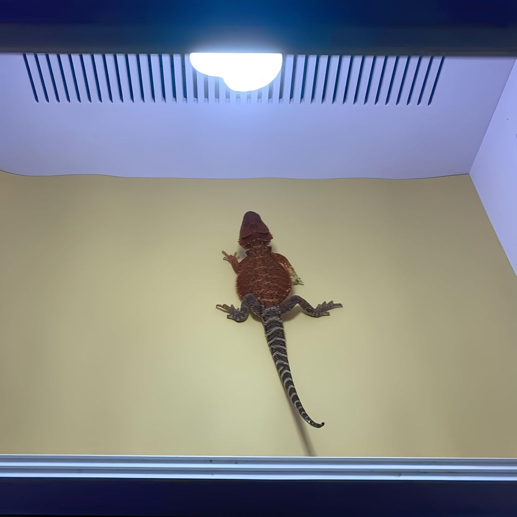 Reptile Carpet & Kraft Paper Liner - Leopard Gecko Tank & Accessories,Reptile Tank, Turtle Grass, Cricket Mat, Snake & Tortoise Bedding, Dust Free for Snakes, Easy Clean Gecko Mat