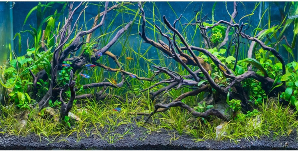 60x24 inches Tropical Fish Tank Background Aquatic Plant Aquarium Backdrop