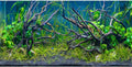 60x24 inches Tropical Fish Tank Background Aquatic Plant Aquarium Backdrop
