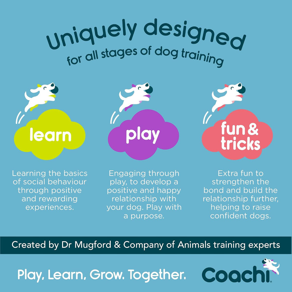 Company of Animals Coachi Chase & Treat - A Fun Enrichment Dog Toy