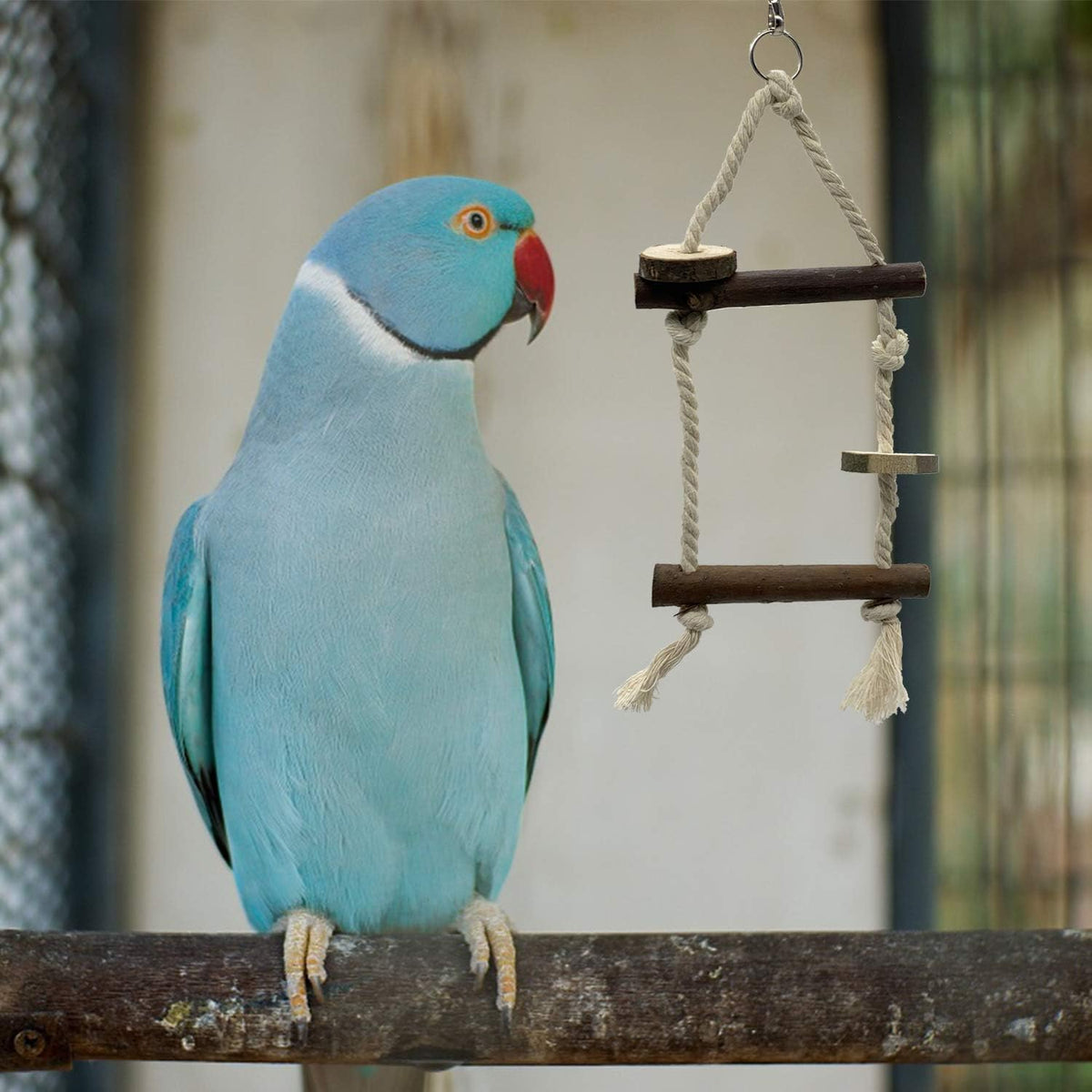 Bird Parrot Perch Set - 10PCS Natural Wood Parakeet Stand, Fork, Rod, Paw Grinding Stick for Budgies, Cockatiels, Conure, Lovebirds
