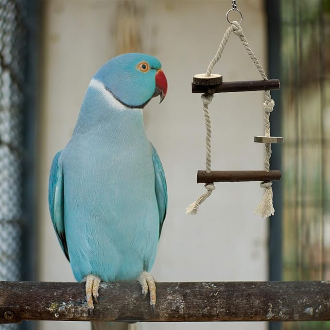 EBaokuup Bird Parrot Perch Set - Image 6