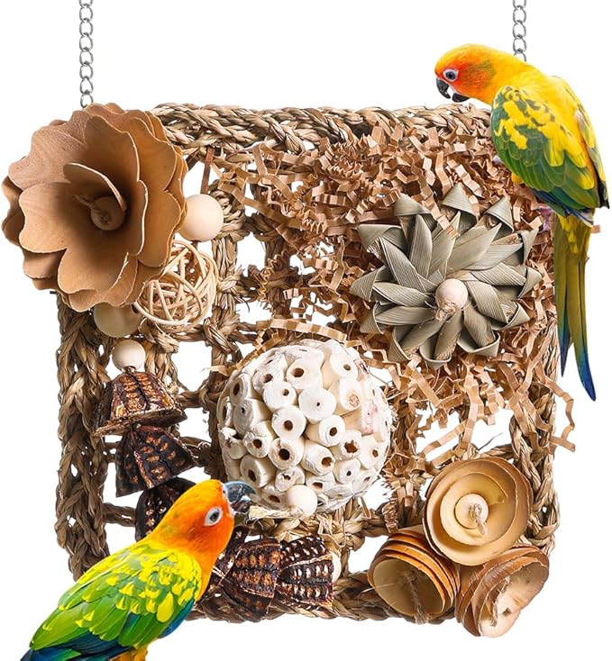 Bird Foraging Toys Natural Bird Toys Conure Toys Parrot Shredding Hanging Toys by Unknown