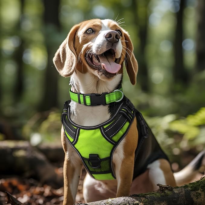 Joytale Reflective Dog Collar, Soft Neoprene Padded, Metal D-Ring, Nylon Pet - Image 2