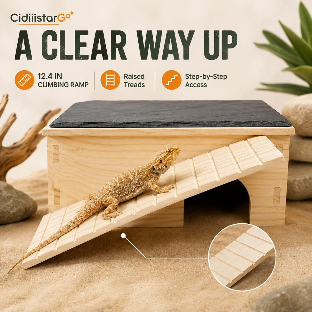 Bearded Dragon Basking Platform with Hideout Ramp & Slate Top