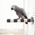 AOTU Bird Perch Natural Sandstone Parrot Perch Bird Perches by AOTU