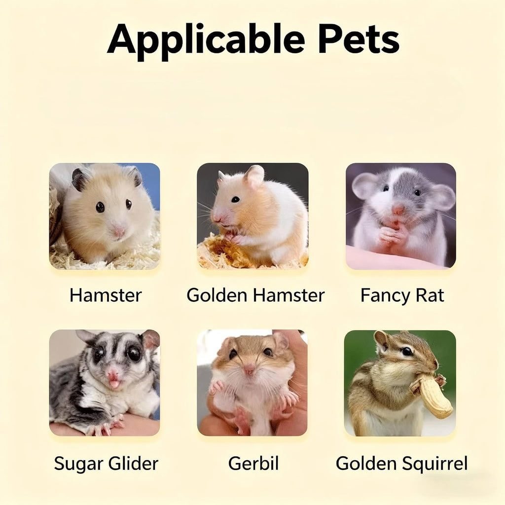 Hamster Cage Starter Kit, Chew Proof Acrylic 17.8", Desktop Habitat