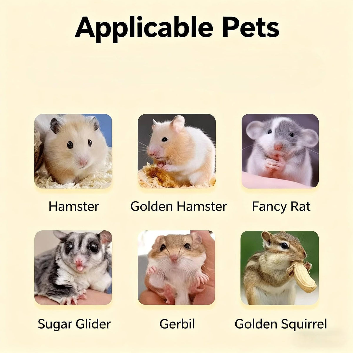 Hamster Cage Starter Kit, Chew Proof Acrylic 17.8", Desktop Habitat