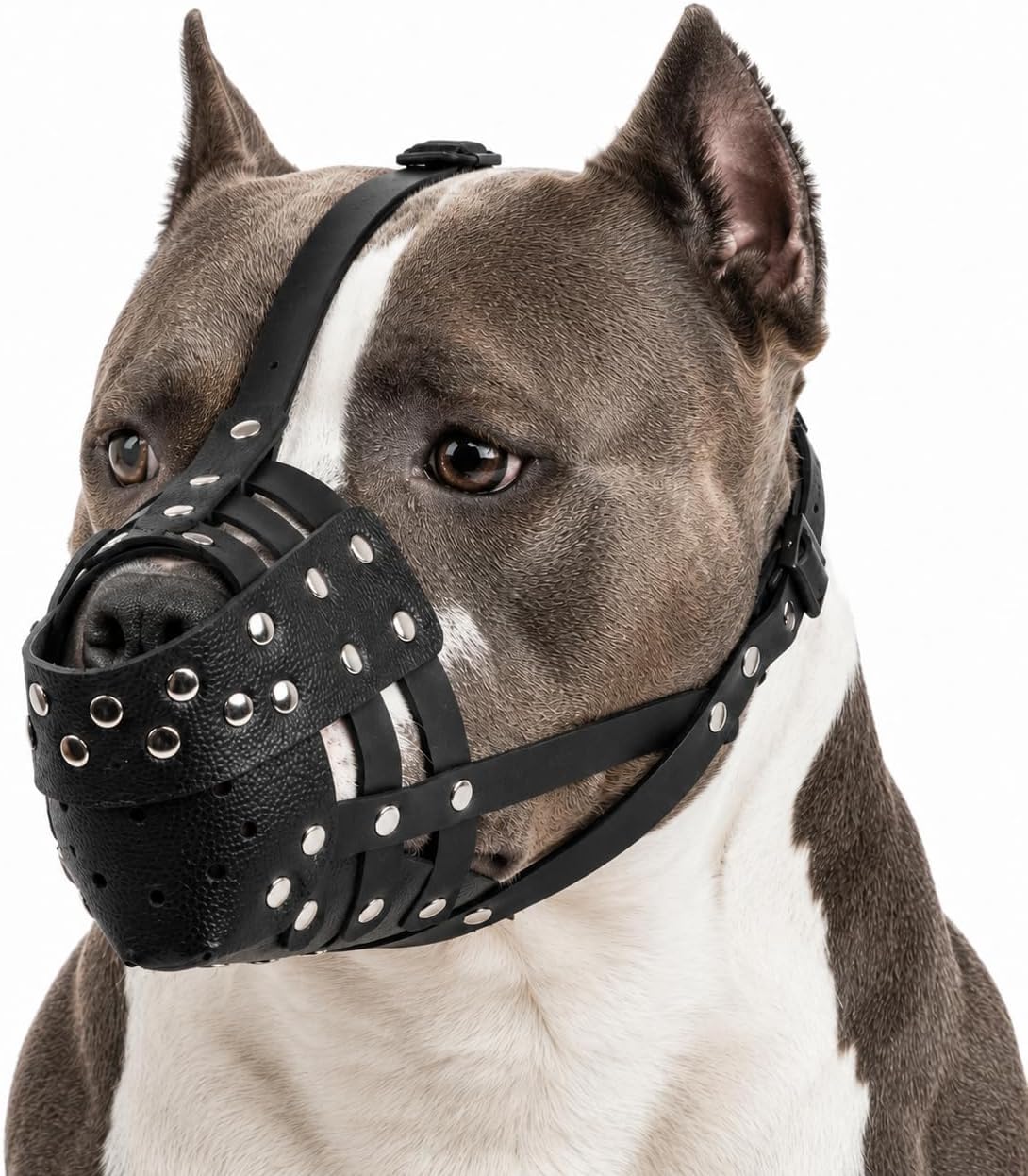 Pitbull Muzzle for Large Dogs, Sturdy Leather Muzzle Anti Biting Scavenging