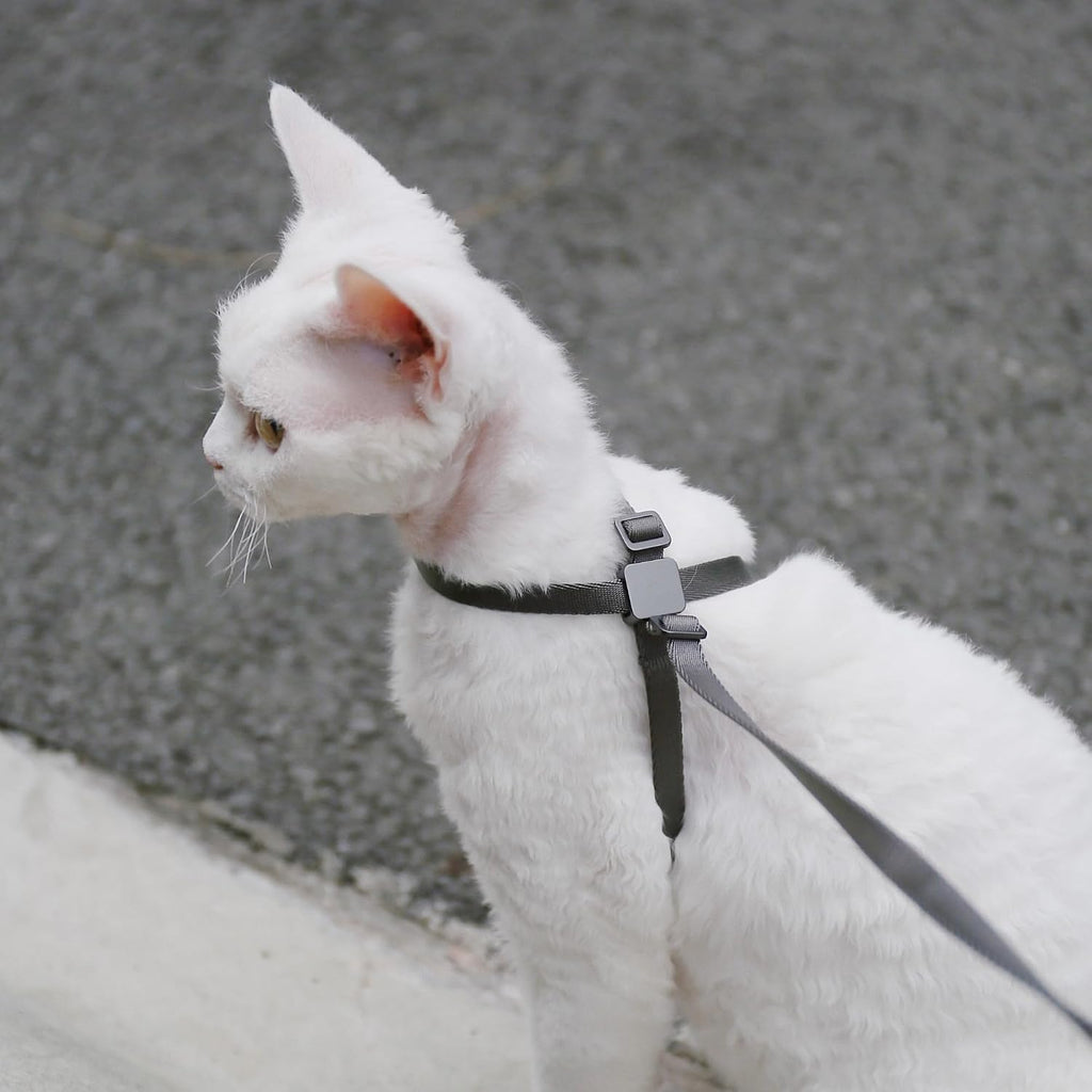 Cat Harness Escape-Proof Anti-Choking Adjustable, Blurple