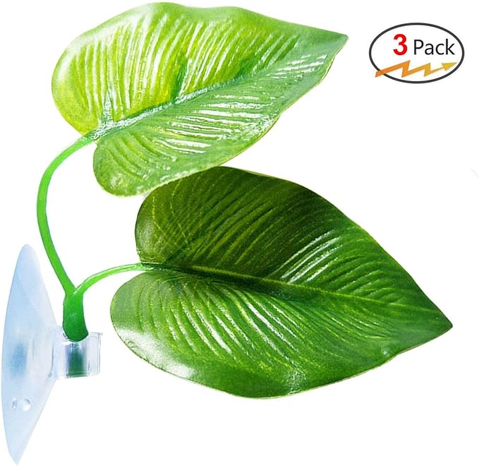 CousDUoBe 3 Pack Betta Fish Leaf Pad Improves Betta's Health by Simulating The - Image 8
