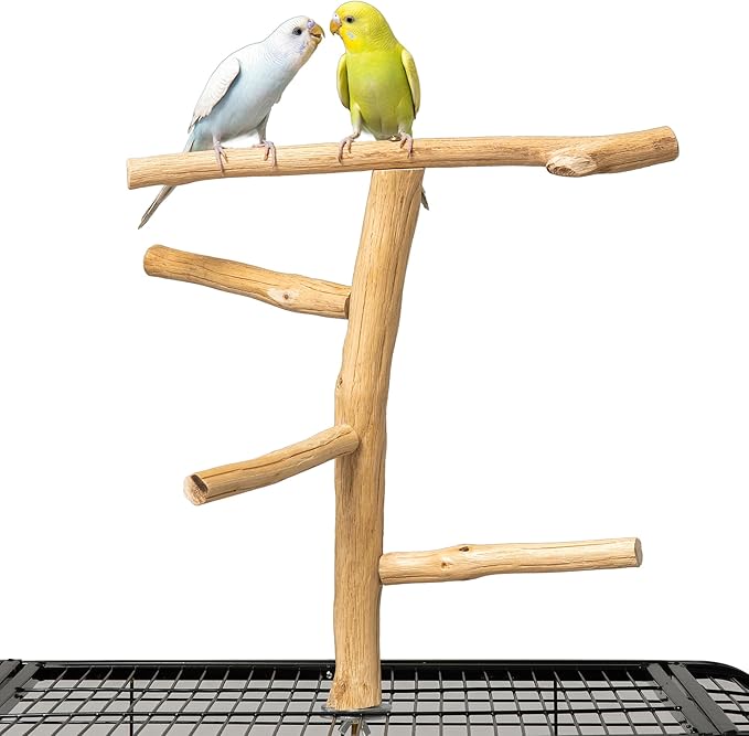 Natural Wood Bird Perch & Play Stand by Unknown