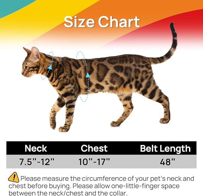Cat Harness and Leash Set - Image 6