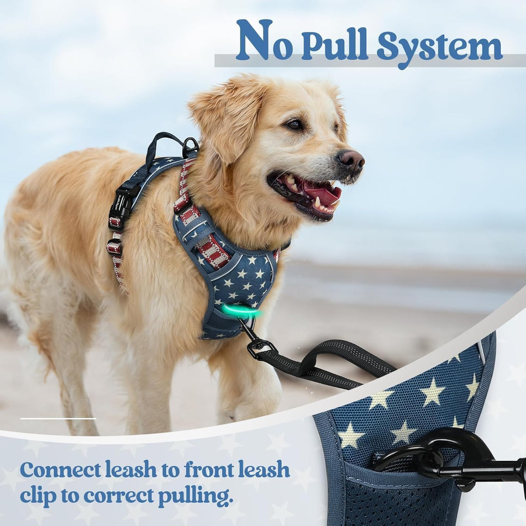 rabbitgoo Dog Harness, No Pull for Large Dogs with 2 Leash Clips, Pet Vest