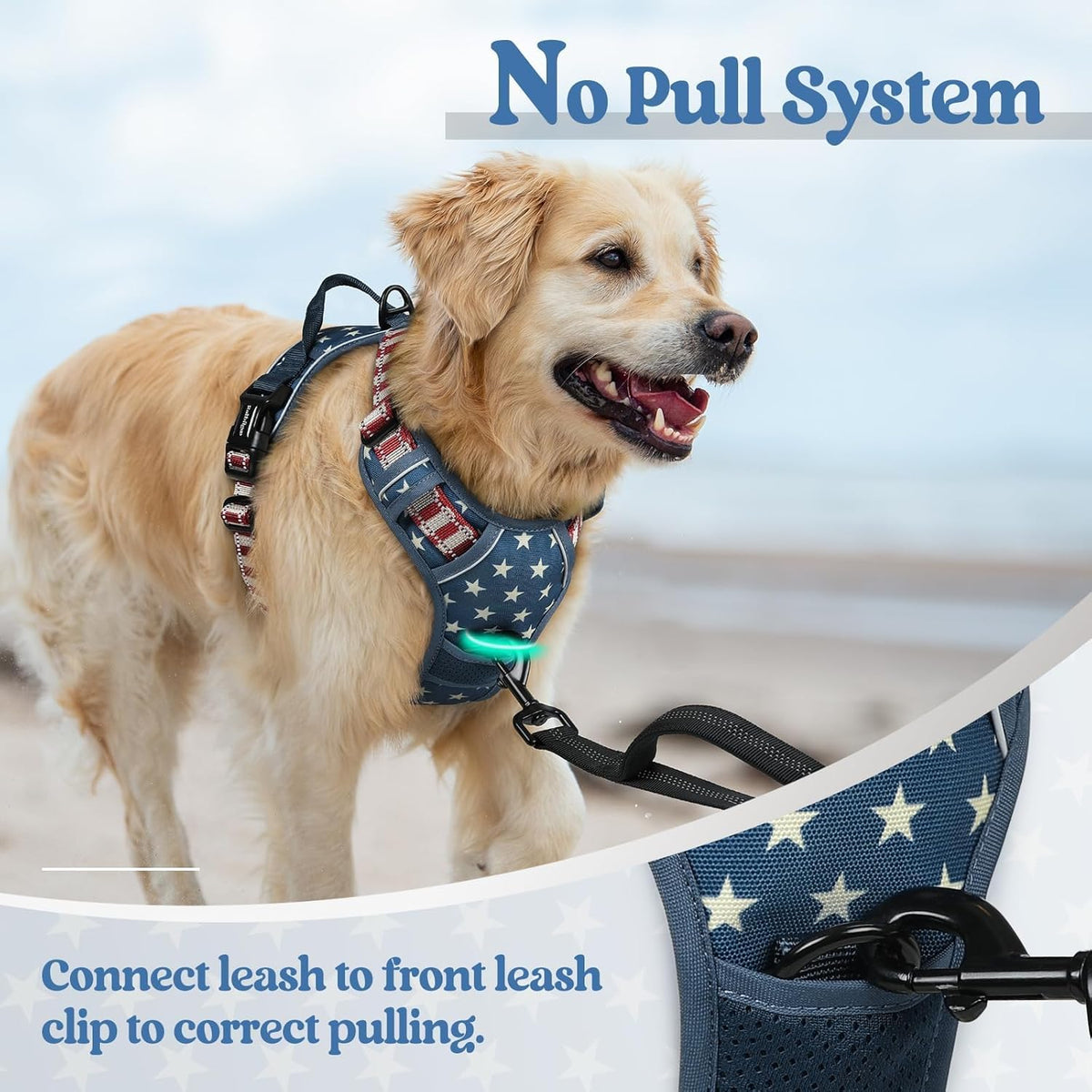 rabbitgoo Dog Harness, No Pull for Large Dogs with 2 Leash Clips, Pet Vest