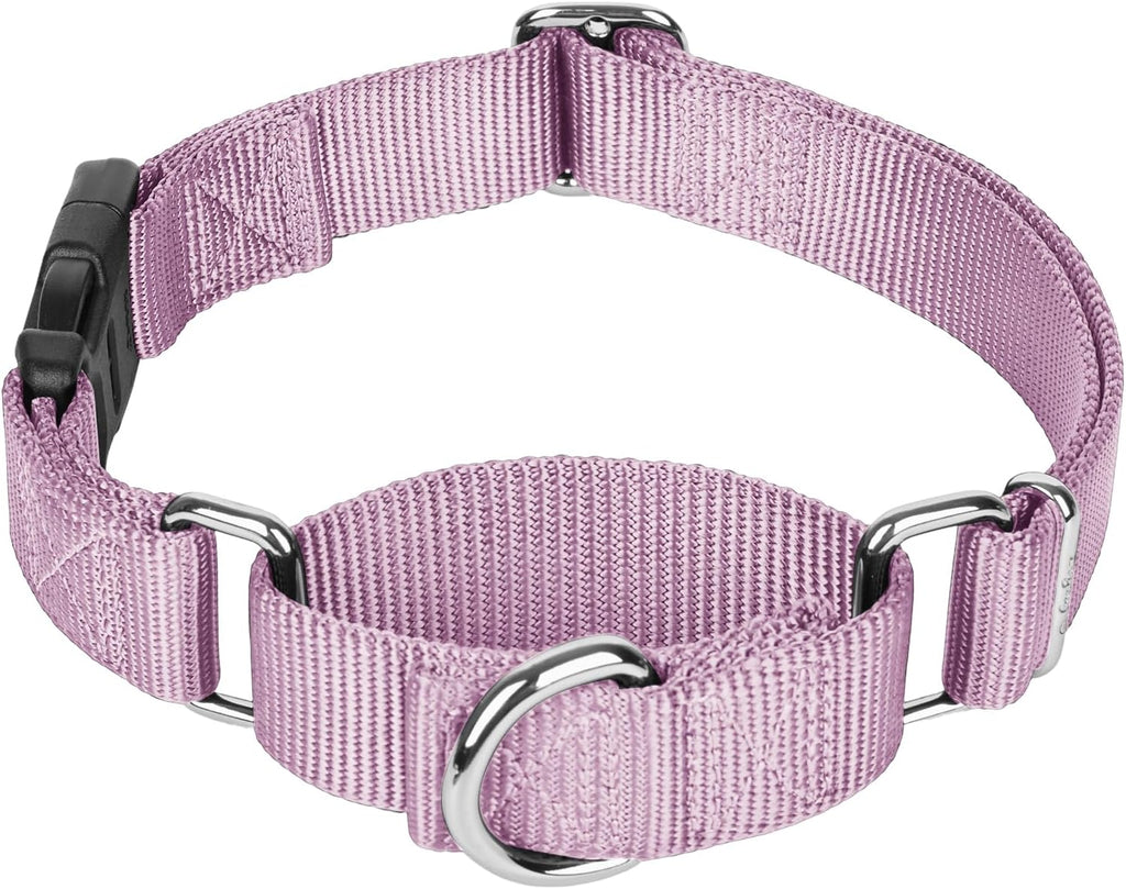 Martingale Collar with Quick Release Buckle for Medium Large Dog