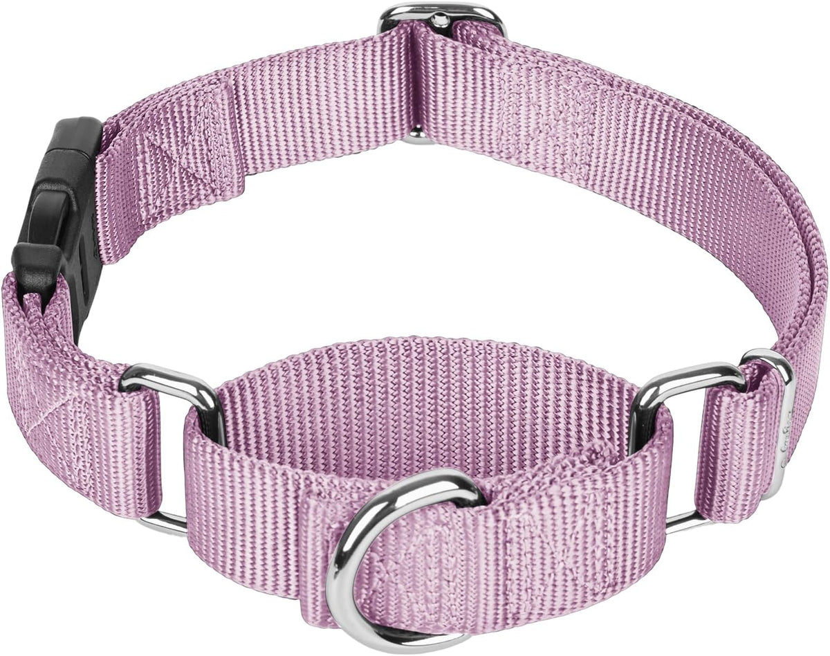 Martingale Collar with Quick Release Buckle for Medium Large Dog