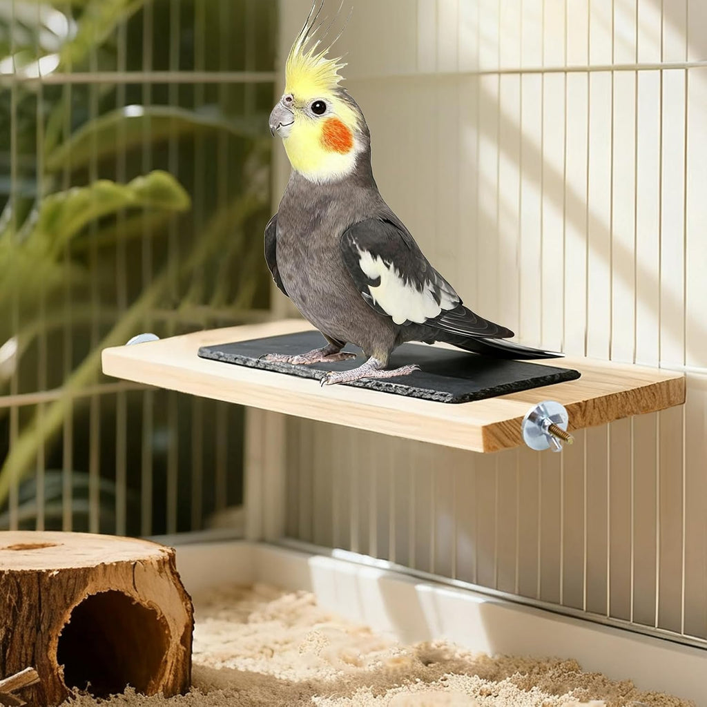 Bird Perch, Wooden Platform with Slate Rock, Bird Playground, Parakeet Shelf Stand Platform, Cage Accessories for Budgies, Cockatiels, Lovebirds, Green Cheeks, Small to Medium Birds