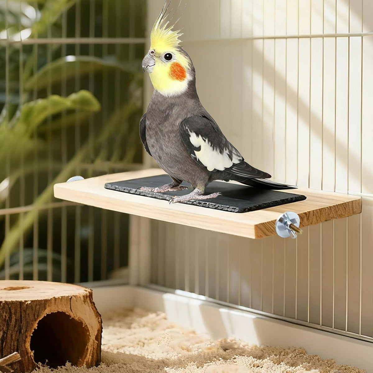 Bird Perch, Wooden Platform with Slate Rock, Bird Playground, Parakeet Shelf Stand Platform, Cage Accessories for Budgies, Cockatiels, Lovebirds, Green Cheeks, Small to Medium Birds