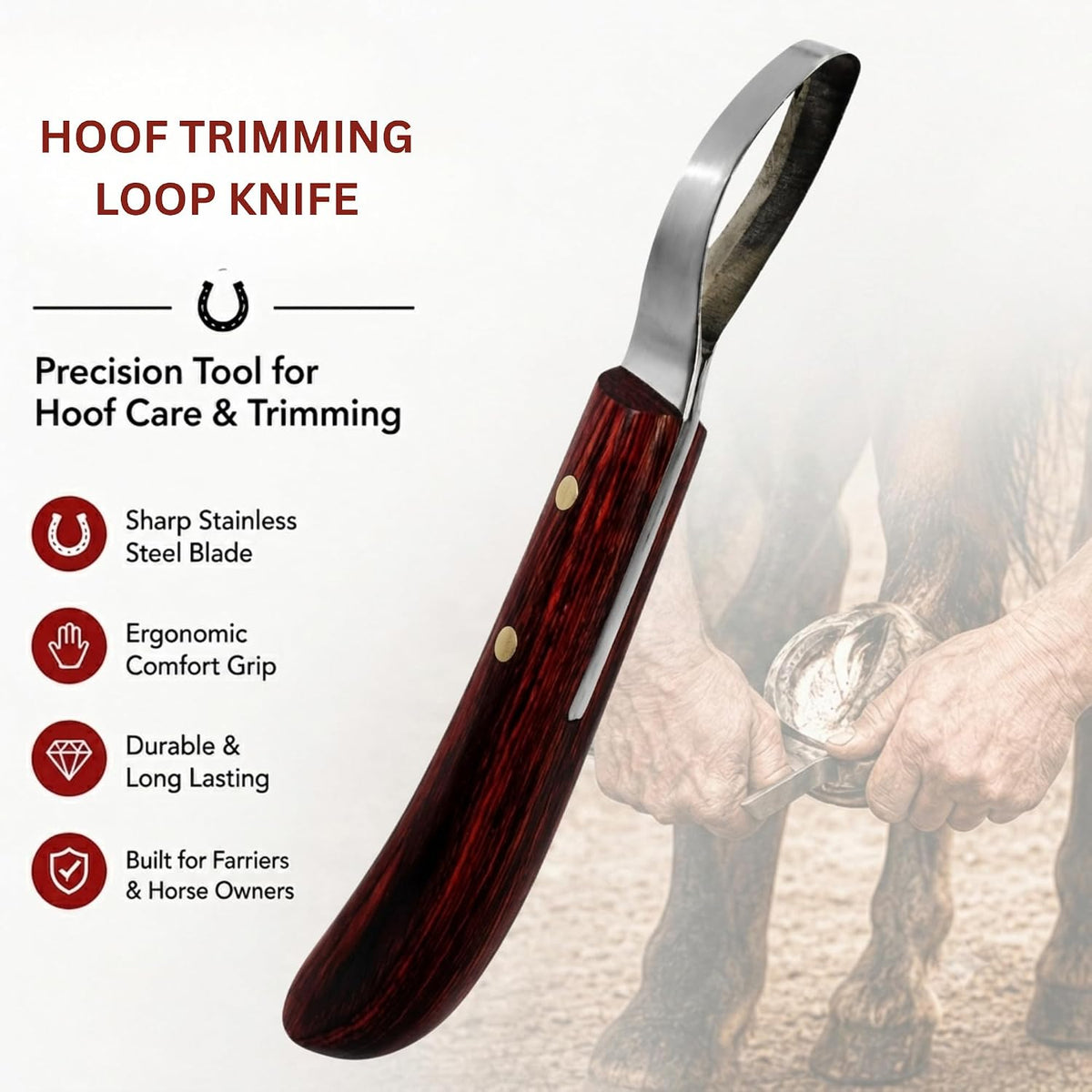 Hoof Trimming Loop Knife – Double-Edged J2 Stainless Steel Blade, Ergonomic Handle, Ambidextrous for Right & Left Hand, Farrier Tool for Horse & Cow Hoof Care