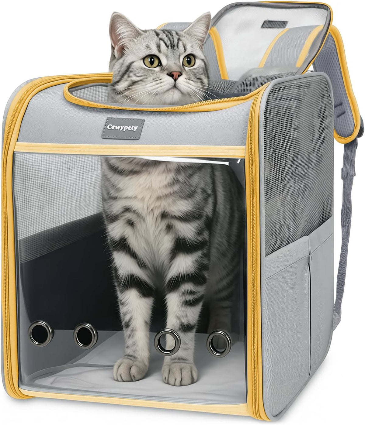 Cat Carrier Backpack Bubble Pet Carrier for Cats and Small Dogs