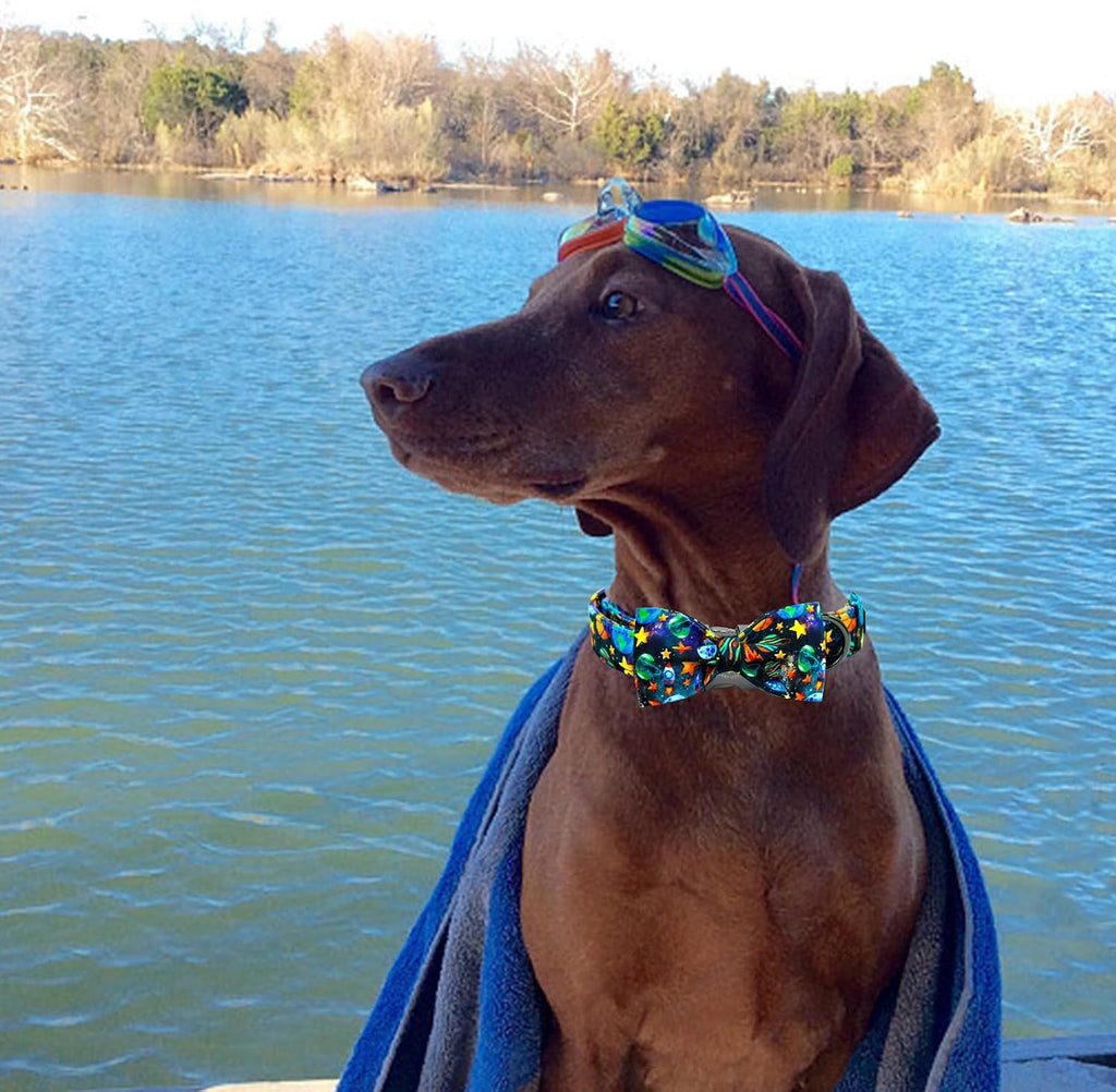 Dog Collar, Boy Pet Collars Blue Durable Soft Bow