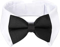 Segarty Black Bow Tie Dog Collar by Segarty