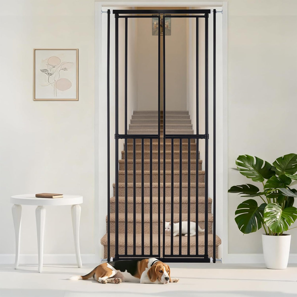 Extra Tall Cat Gate for Doorway – 75.2“ Pressure-Mounted Transparent Cat Gate for Pets, Fits 30”-36" Width, No Wall Drilling, Ideal for Stairs, Hallway, Indoor Safety Barrier