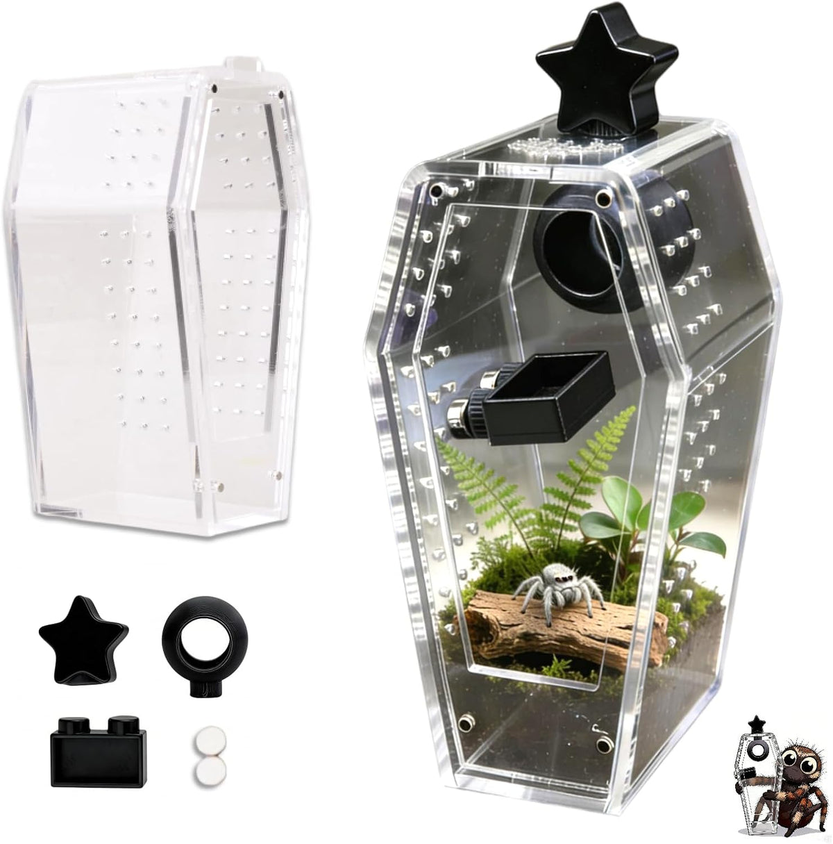 Jumping Spider Enclosure Kit, Accessories Terrarium 6PCS-Black