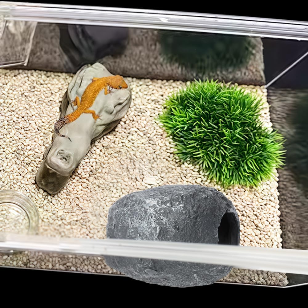 DQITJ Small Reptile Cave Magnetic Design for Easy Viewing Hideout Decoration for Spider Hermit Crab Gecko Corn Snake
