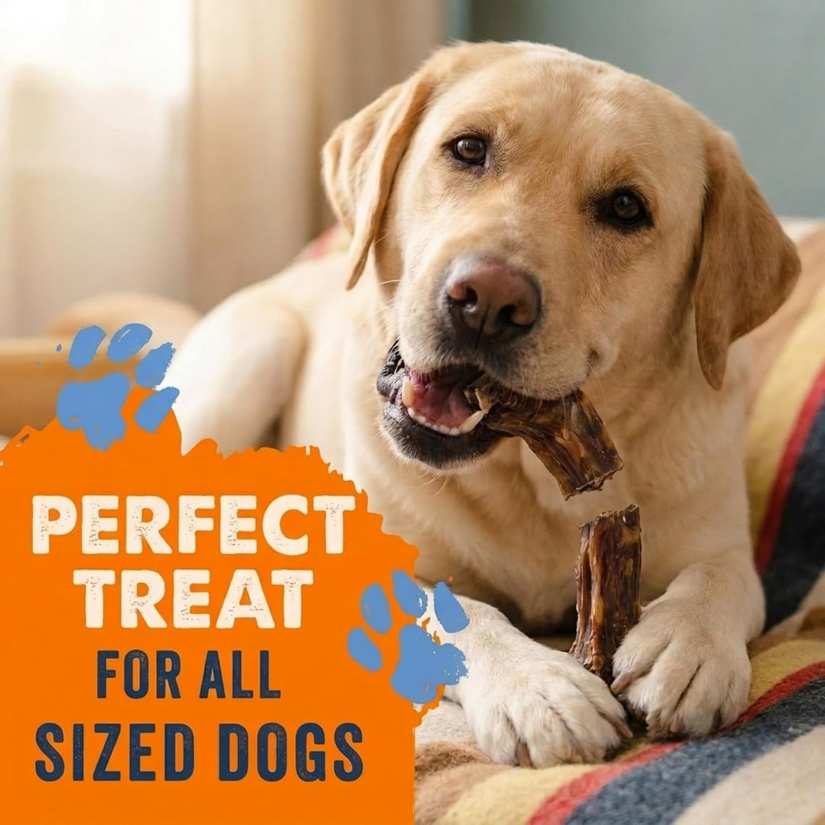 K9warehouse Chicken Necks for Dogs, Single Ingredient Dental Chew, 12 Count