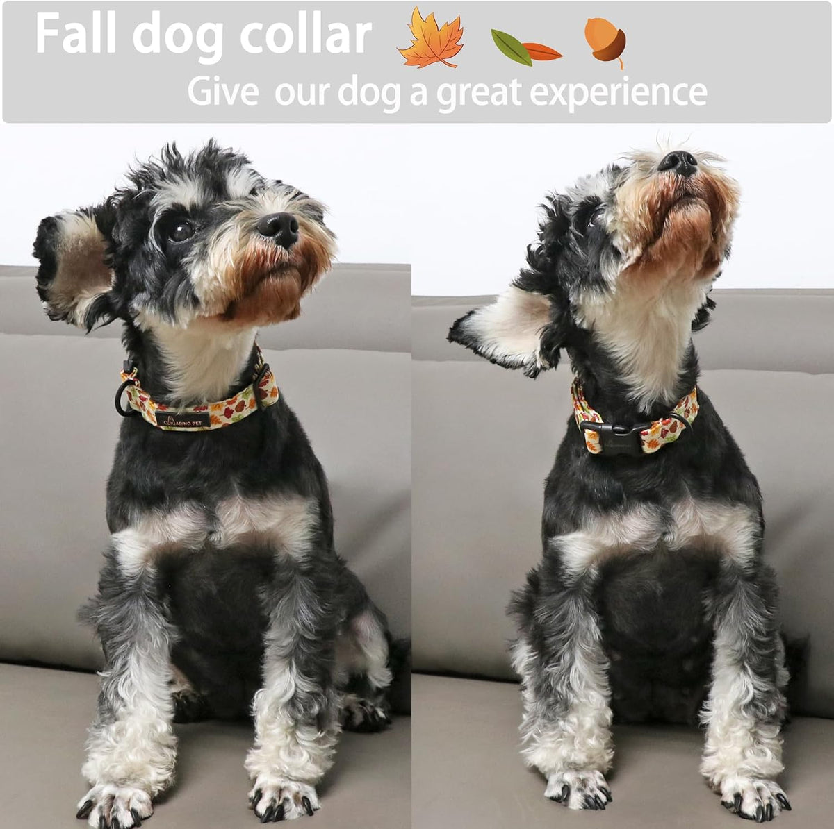 ARING PET Fall Dog Collar-Cotton Maple Leaves Dog Collar for Small Dogs, Adjustable Lightweight Dog Collars with Quick Release Buckle for Small Medium Large Dogs