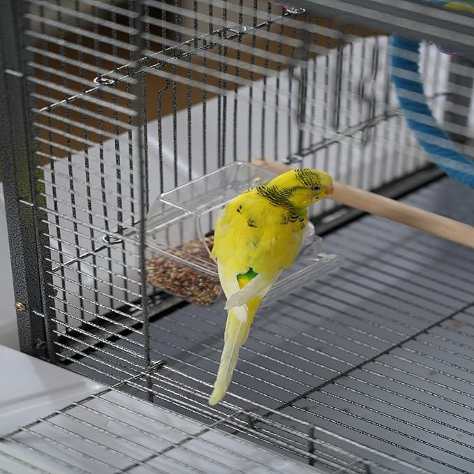 Bird Flight Cage 16 x 16 x 20 Inch, Wrought Iron Parrot Cage - Image 6