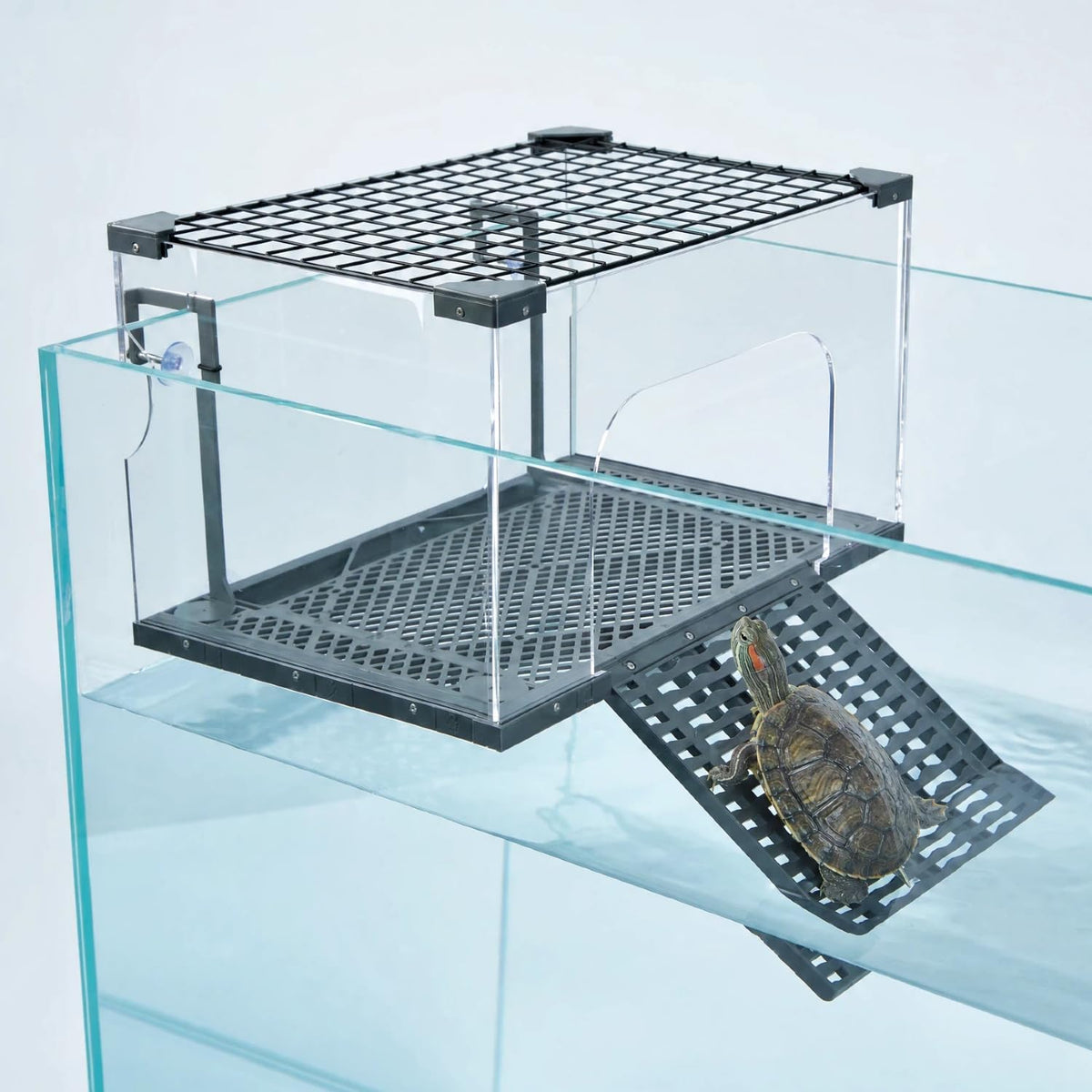 Escape-Proof Turtle Basking Platform Enclosure for 60-Gallon+ Tanks