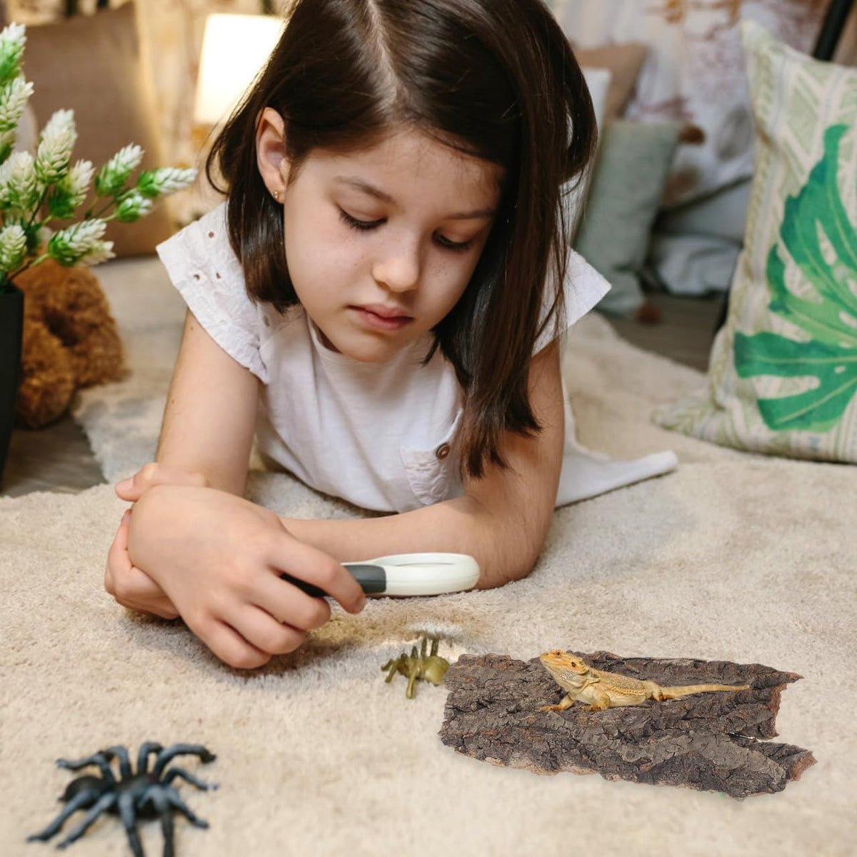 Cork Bark for Reptiles: Reptile Wood and Tree Bark Bearded Dragon Hides