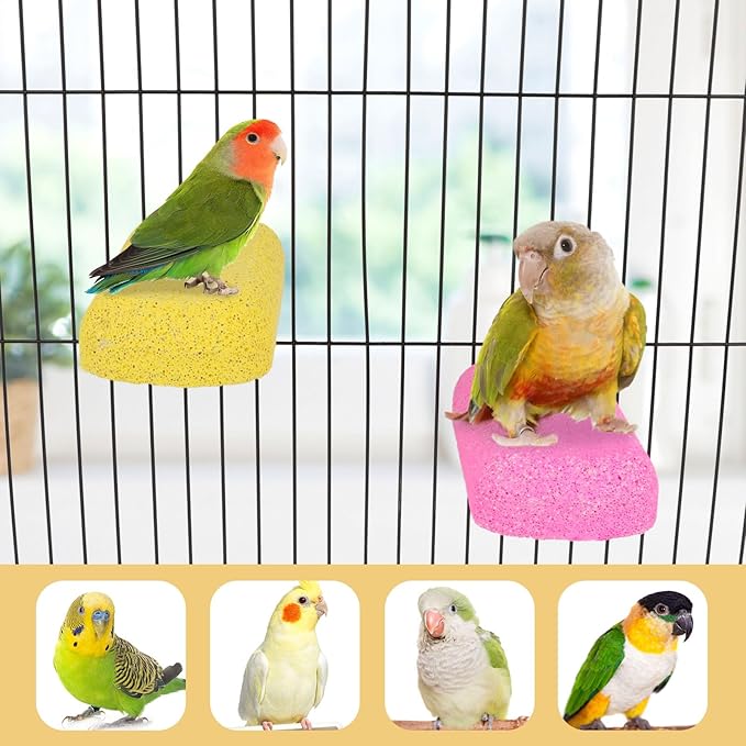 Wontee Bird Chewing Toys Grinding Beak Bird Perch Stand - Image 3