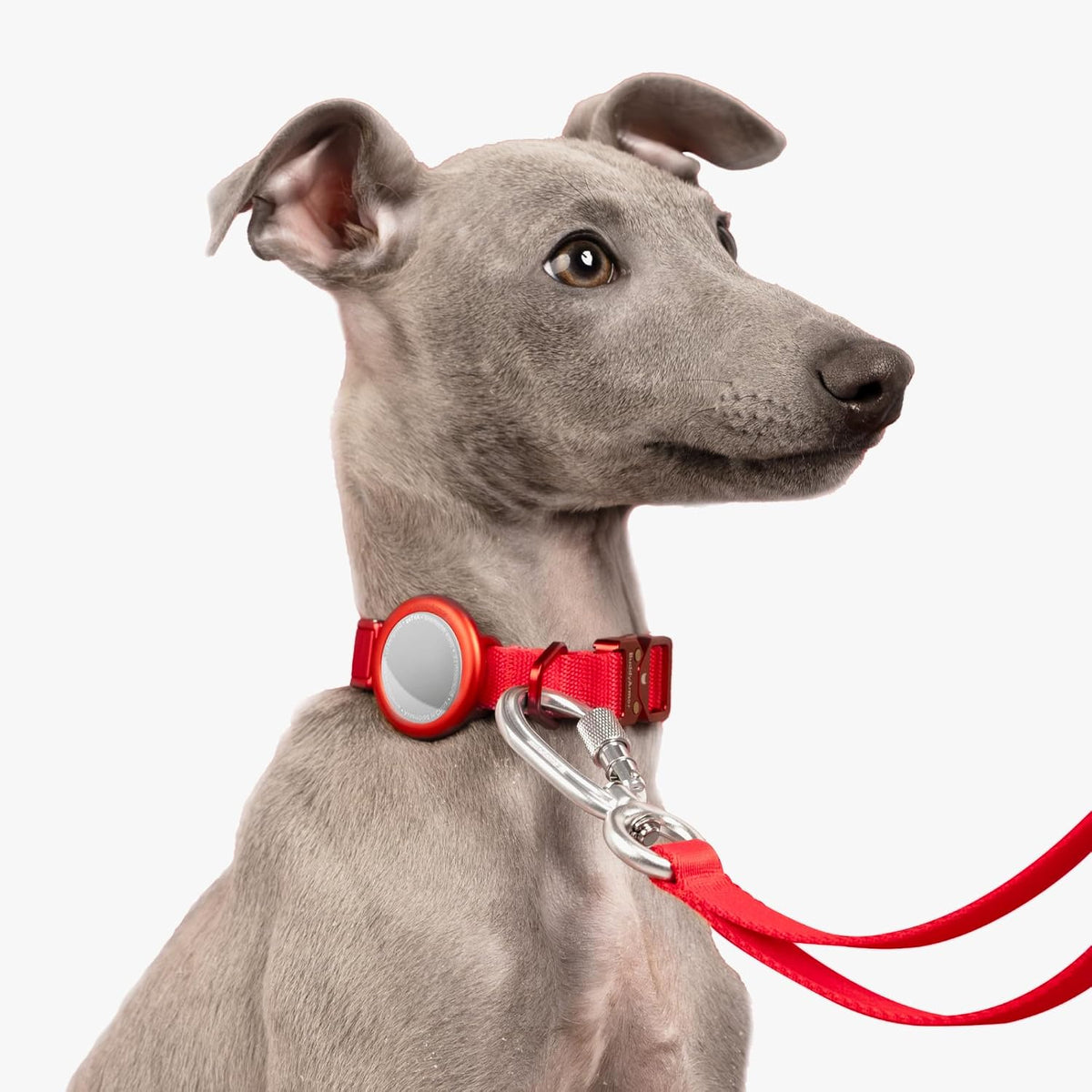 Pet Holder for Airtag Collar - Secure Fit for Airtag Case for Cat Dog Collars, No Dangling, Lightweight Anodized Aluminium for Airtag Holder for 0.4/0.6 inch Collar (Linen, S)