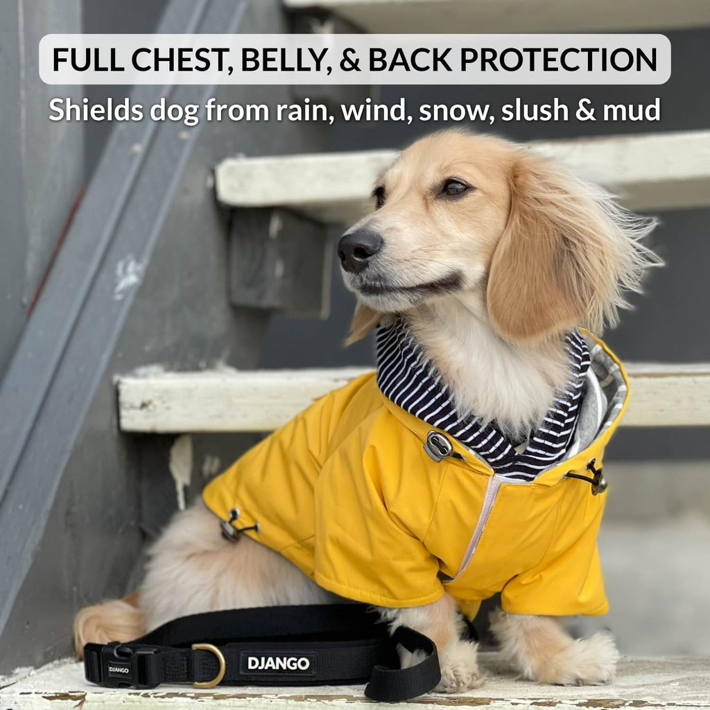 DJANGO Highland Dog Raincoat & Soft-Lined Rain Jacket - Yellow, Medium
