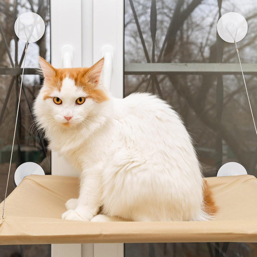 8 Pieces Cat Window Perch Suction Cup Powerful Window Bed Seat Replacement Suction Cup Clear PVC Sucker Pads for Cat Hammocks/Window Seat/Perch