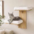 Cat Wall Shelves, Floating Perch for Cats, Wall Mounted Cat Furniture