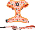 Dog Harness and Leash Set, Adjustable Dog Harness, Dog Leash, No Pull No Choke Puppy Harnesses for Walking Training for Small Medium Pet