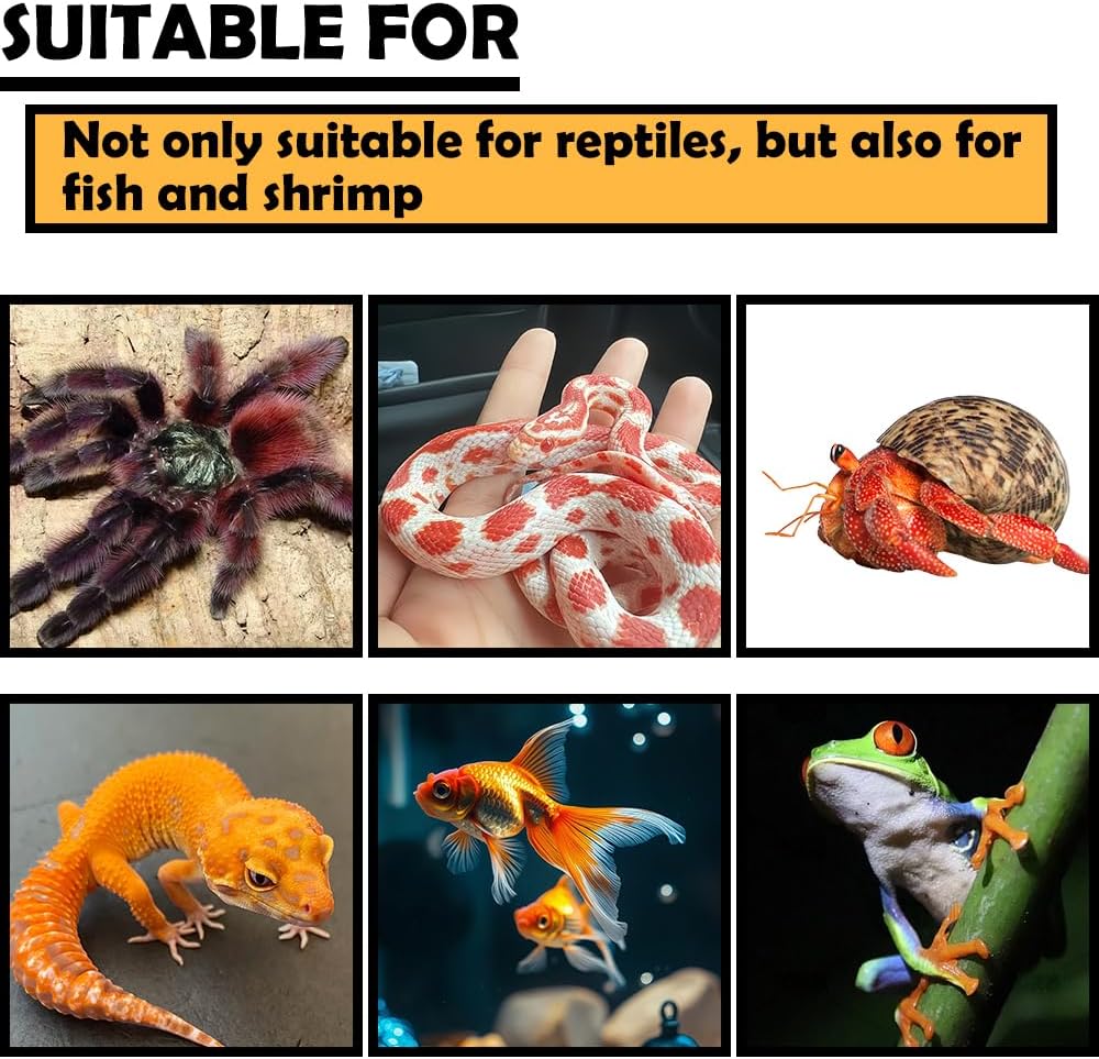 DQITJ Small Reptile Cave Magnetic Design for Easy Viewing Hideout Decoration for Spider Hermit Crab Gecko Corn Snake