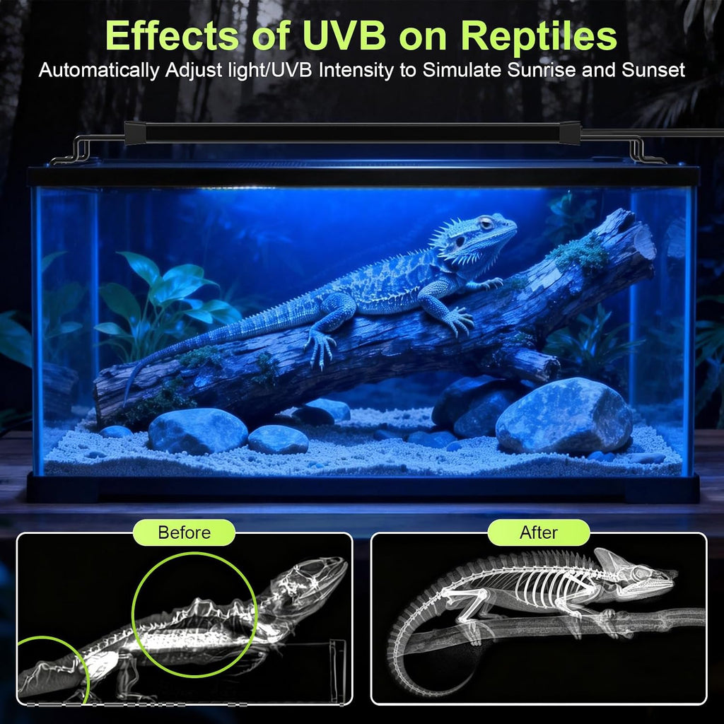12W LED UVB Light for Reptiles Terrarium Light Extendable Reptile Tank Light with Controller ＆Dimming and 5 UVI Modes Full Spectrum Brilliant White Blue Red Lights for Bearded Dragon, Gecko