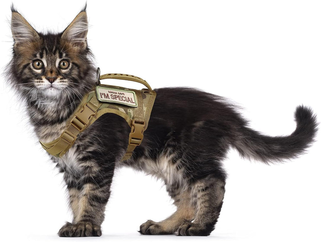 Tactical Cat Harness for Walking Escape Proof, Soft Mesh Adjustable Pet Vest Harness for Large Cat,Small Dog